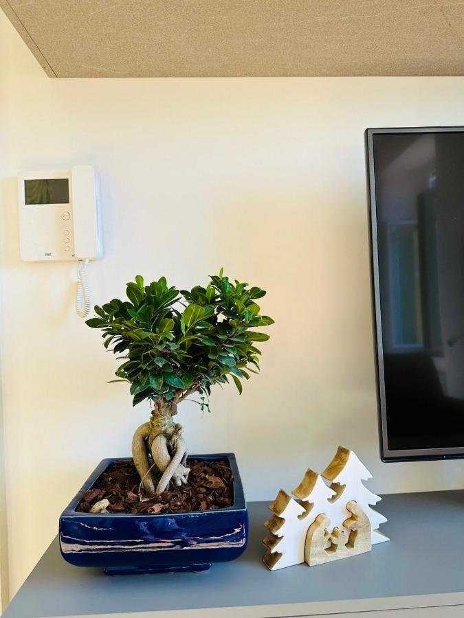 Alocasia Luxury Stay Salerno Kültér fotó